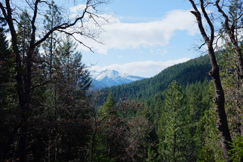 A scenic view of snow-capped mountains and lush green hills, framed by trees, under a partly cloudy sky.