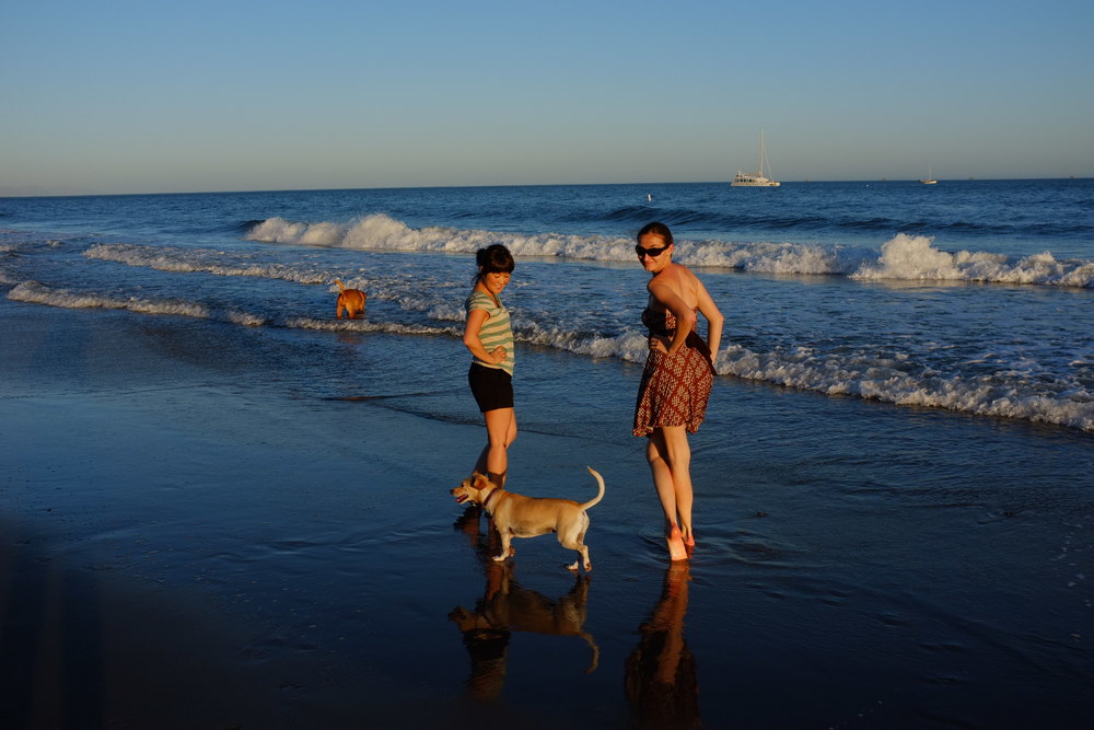 Two women enjoying a sunset walk on the beach with a small dog, waves in the background.