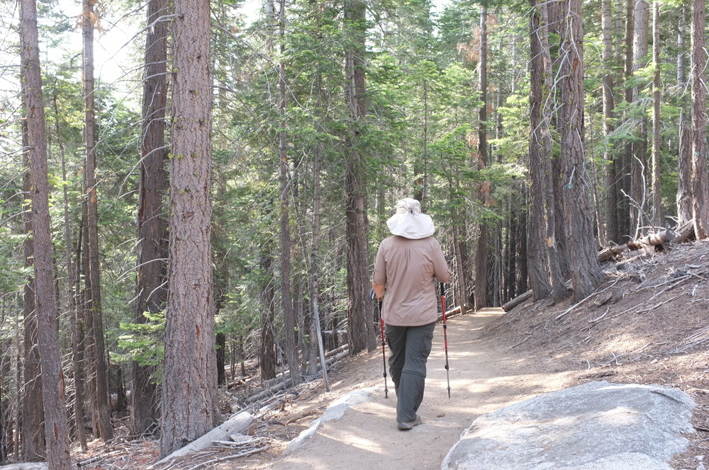 A hiker walking along a dirt trail surrounded by tall trees in a wooded area, using trekking poles.
