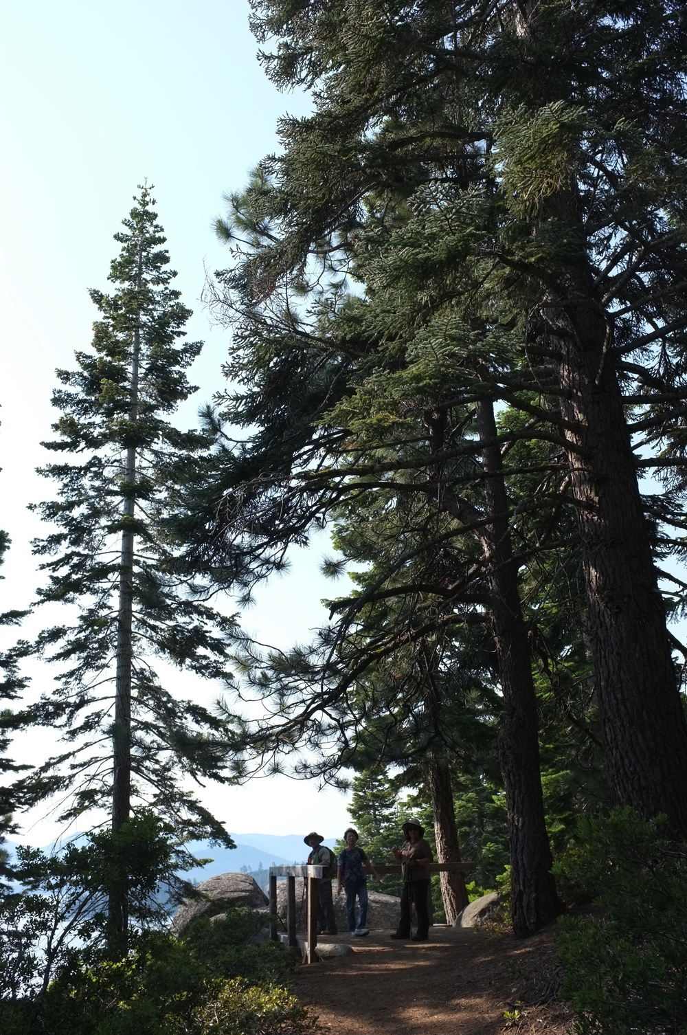 A family of three standing on a hiking trail surrounded by tall pine trees, with mountains visible in the background.