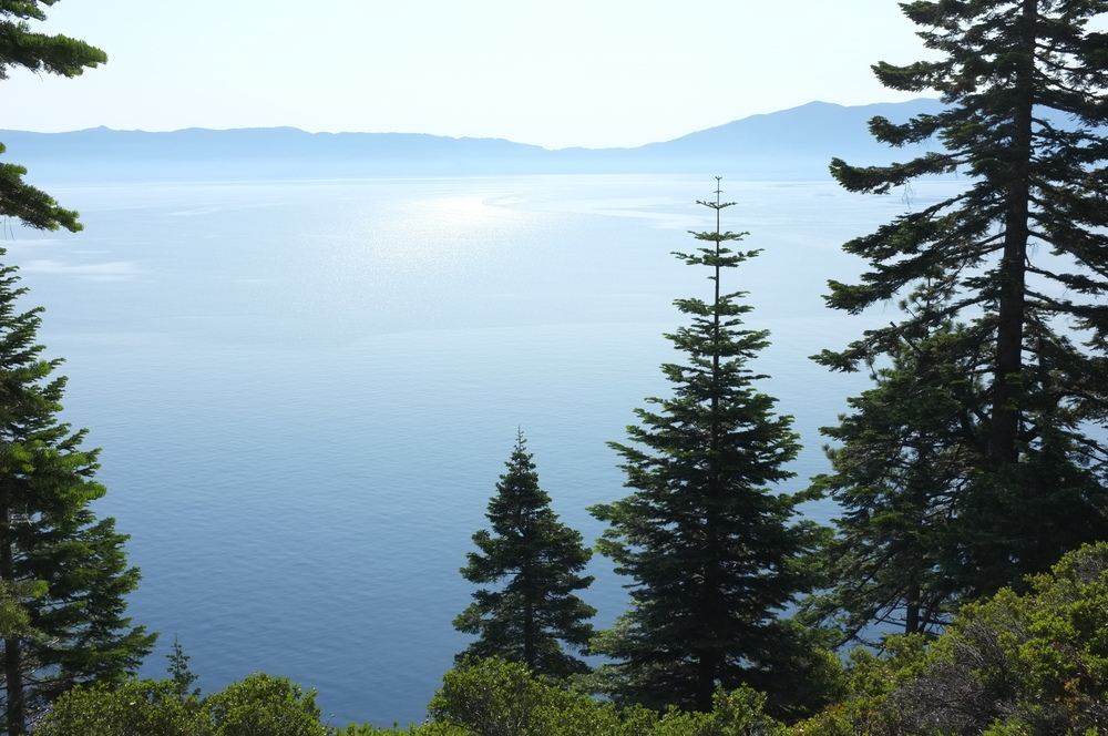 A scenic view of a calm lake, surrounded by lush green trees and distant mountains under a clear blue sky.