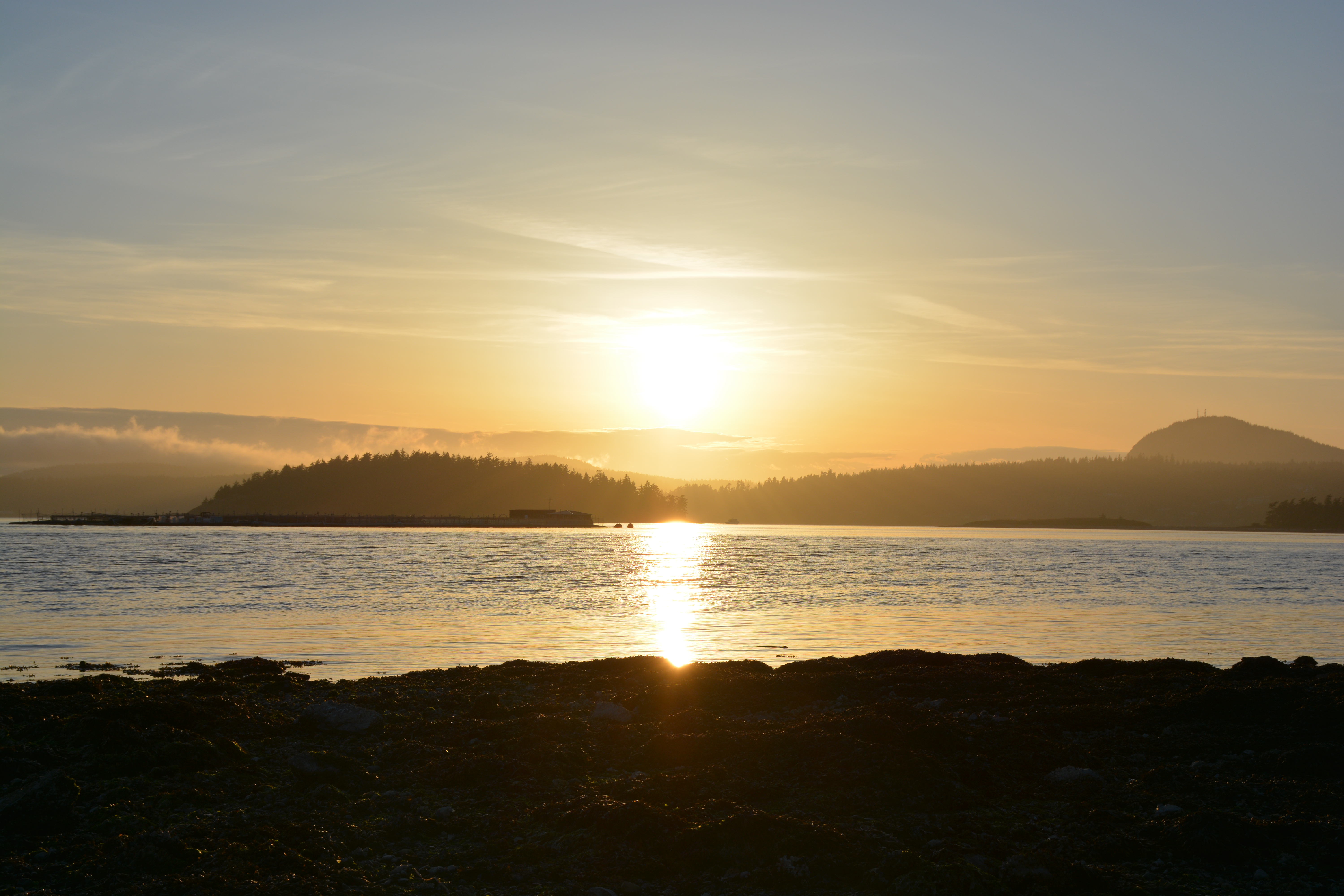 A serene sunset over a calm body of water, with silhouetted trees and distant hills creating a picturesque landscape.