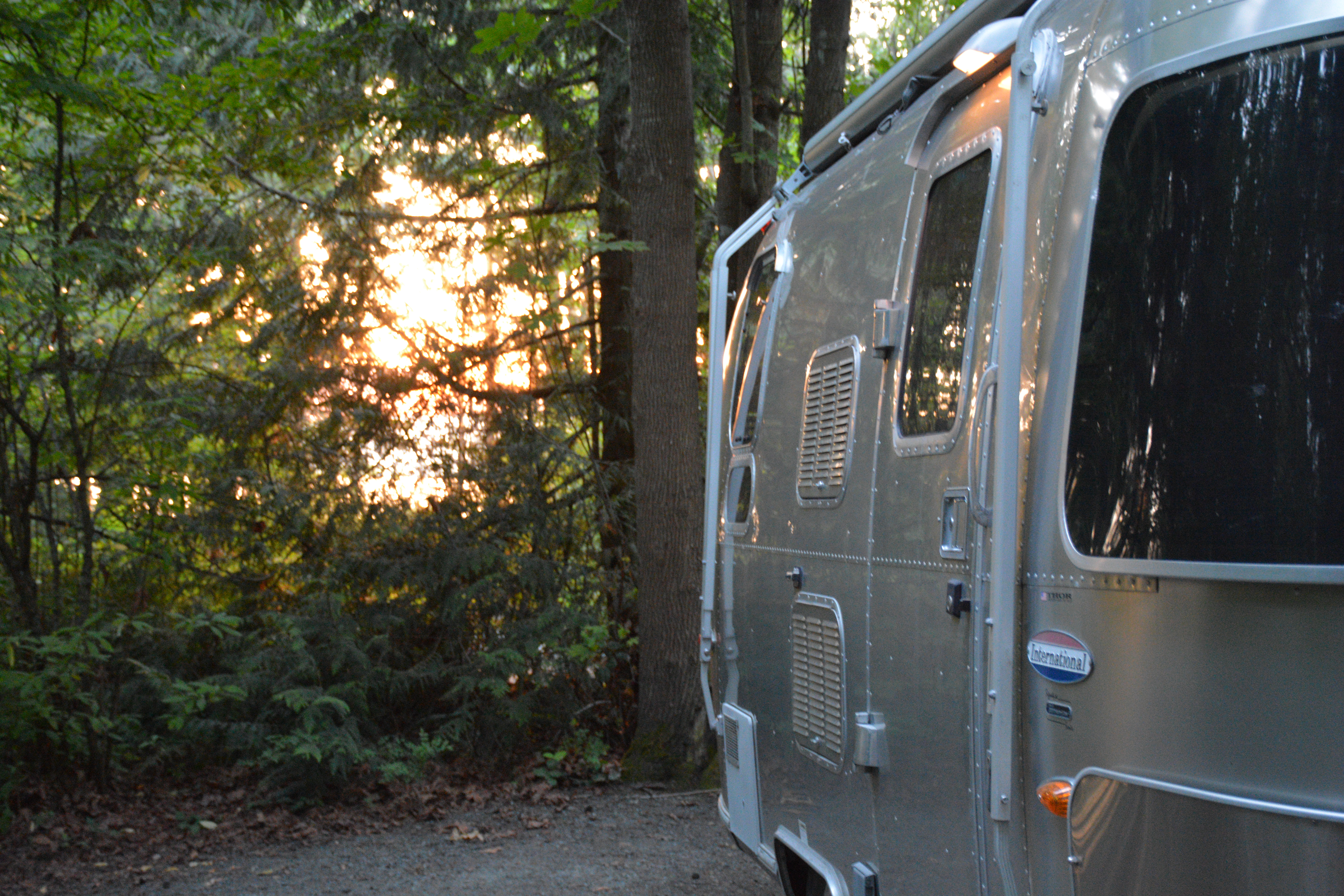 An Airstream trailer parked in a wooded area with a soft golden light shining through the trees.