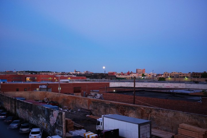 Bushwick