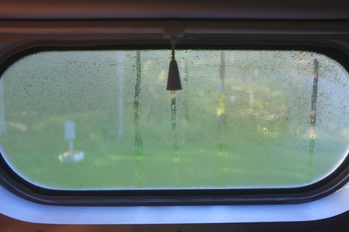 view