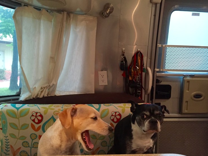 Butters and Rosie