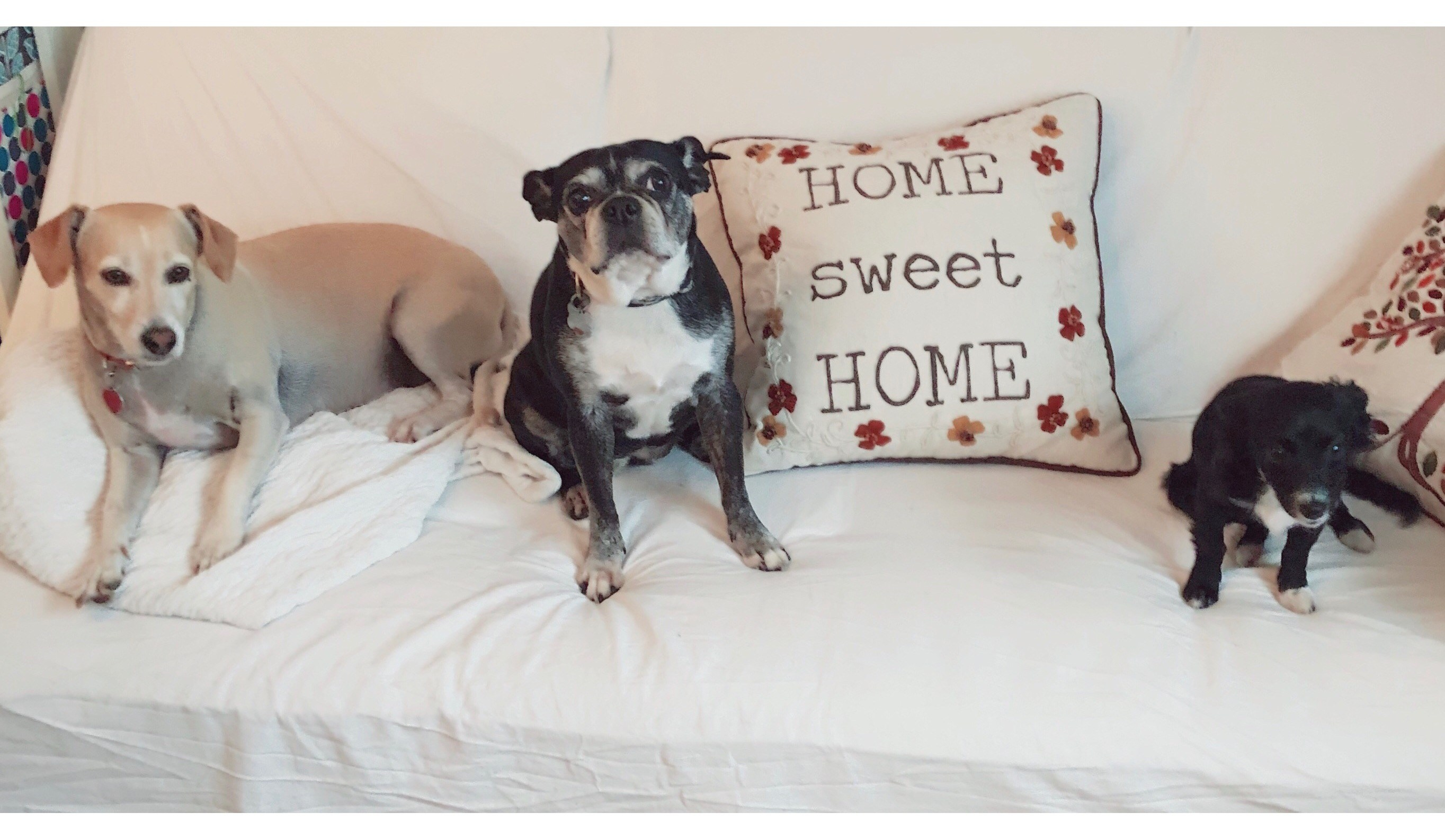 Butters Rosie Lonnie