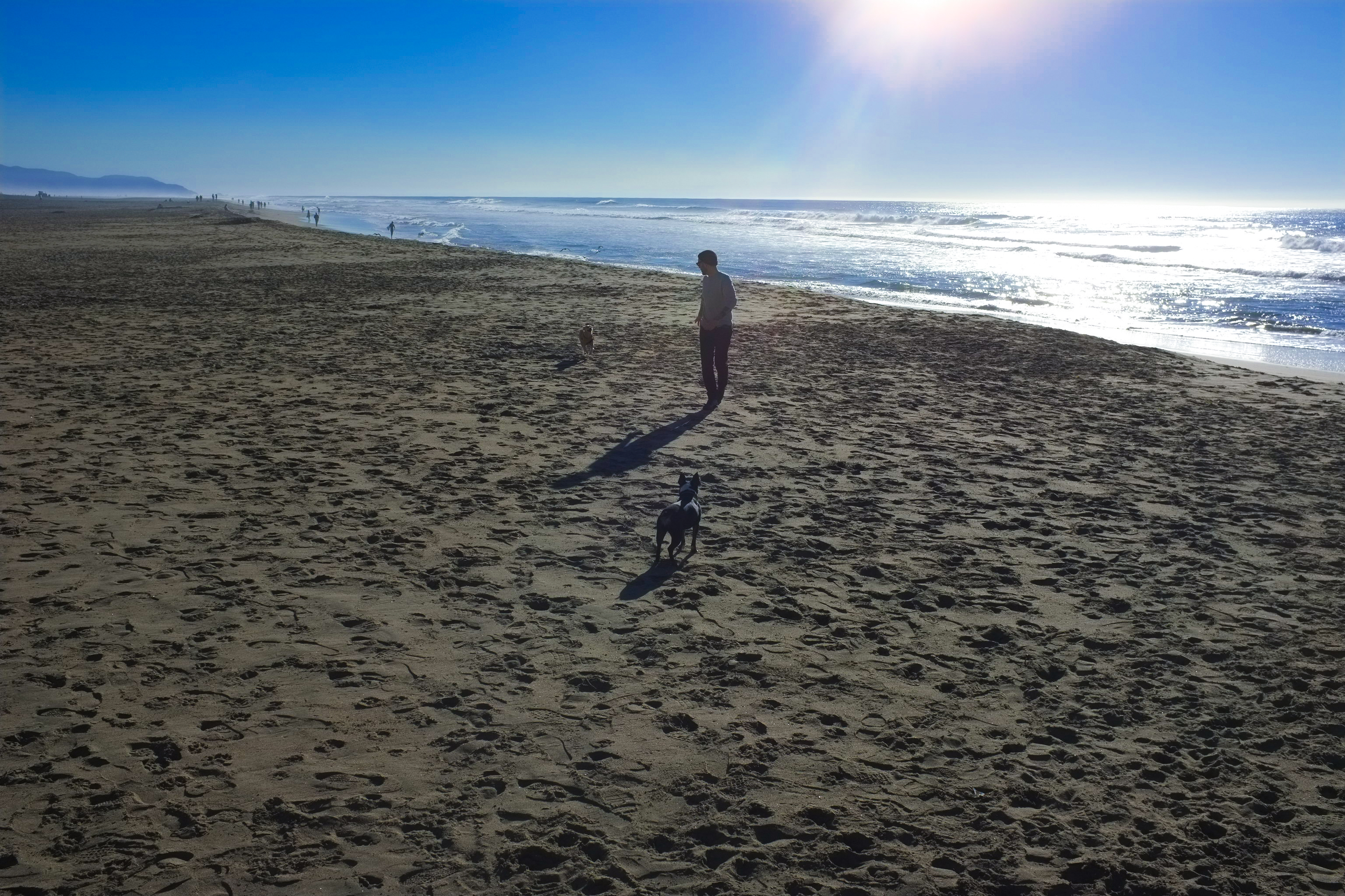A person walking along the beach with a small dog, with footprints in the sand and waves in the background under a sunny sky.